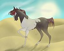 Sand Stallion