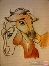 Spirit and Rain as Foals