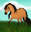 Spirit Drawing