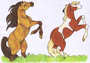 Rain And Spirit are happy