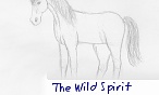 The Wild Spirit