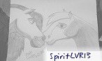 SpiritLVR13