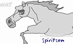 spiritsem