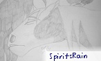 SpiritsRain
