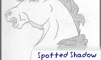 Spotted Shadow