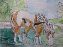 Rain and foal