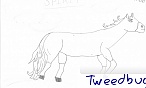 Tweedbug