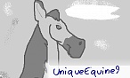 UniqueEquine9