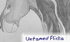 Untamed Flicka