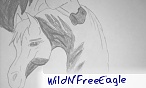 WildN'FreeEagle