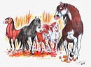 Fire of Autumn
