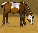 filly rain
