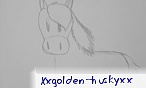 xxgolden_huskyxx