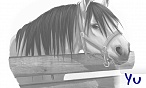 Yu