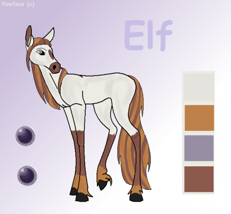Detail Elf