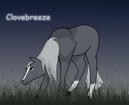 Detail Clovebreeze Detail Clovebreeze