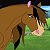 Farasy