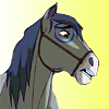 Cheval Indien