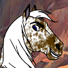 Deidre