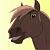 Lakota Horse No.1