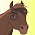 Lakota Horse No.3