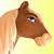 Homeland Horse