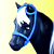 Horses Of Miradero
