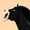 .So�ador