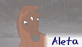 Aleta