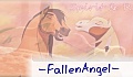 -WildFire- -WildFire-