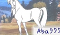 aba999