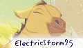 ElectricStorm95