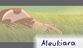 aleukiara