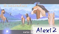 Alex 12