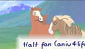 Halt fan (aniu4life)