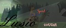 Lusio-in Summary