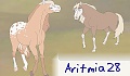 Aritmia28