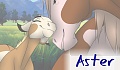 Aster
