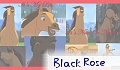 Black Rose