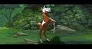 Foal rain