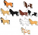 spirit and rains family tree