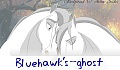 bluehawk's_ghost