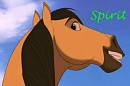 spirit icon
