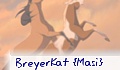 BreyerKat {Masi}