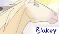 Blakey