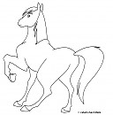 Blank horse lineart 01