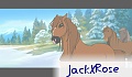 JackXRose