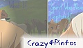 Crazy4Pintos