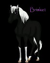 Gift - Brisket
