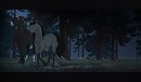 A Midnight Stroll
